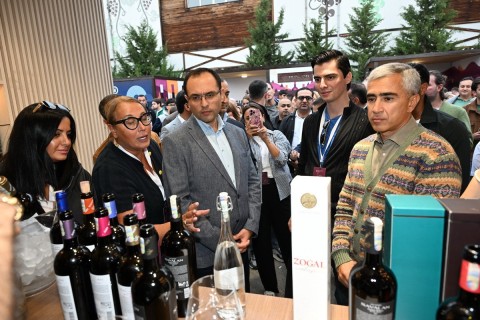 Le Festival du Raisin et du Vin s’ouvre à Chamakhi, en Azerbaïdjan – PHOTO