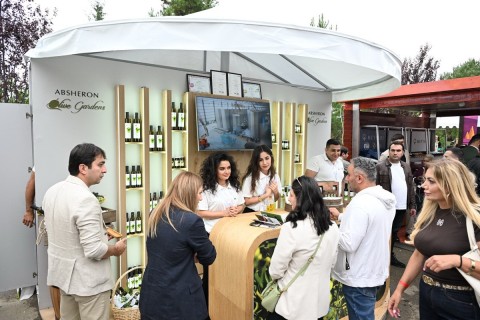 Le Festival du Raisin et du Vin s’ouvre à Chamakhi, en Azerbaïdjan – PHOTO