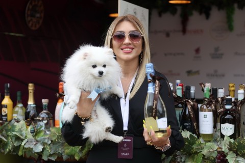 Le Festival du Raisin et du Vin s’ouvre à Chamakhi, en Azerbaïdjan – PHOTO