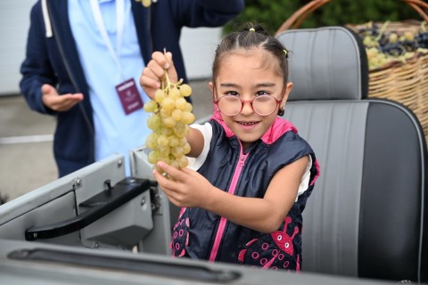 Le Festival du Raisin et du Vin s’ouvre à Chamakhi, en Azerbaïdjan – PHOTO