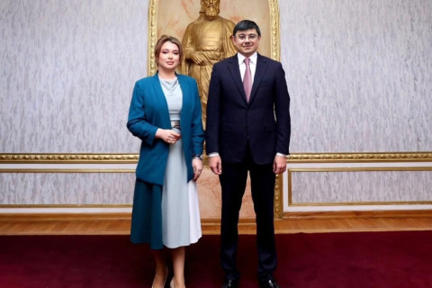 Les plans futurs ont été discutés avec les dirigeants des organisations de la diaspora azerbaïdjanaise