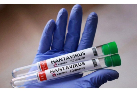 L’OMS sur le risque de propagation du hantavirus en Azerbaïdjan