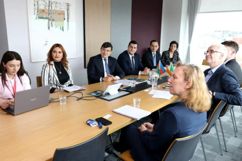 Fuad Muradov a discuté en Irlande du renforcement des liens entre les diasporas - PHOTO