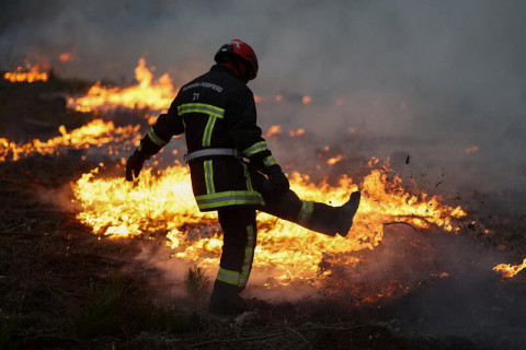 Les dégâts des incendies de forêt en France estimés à 500 millions d’euros
